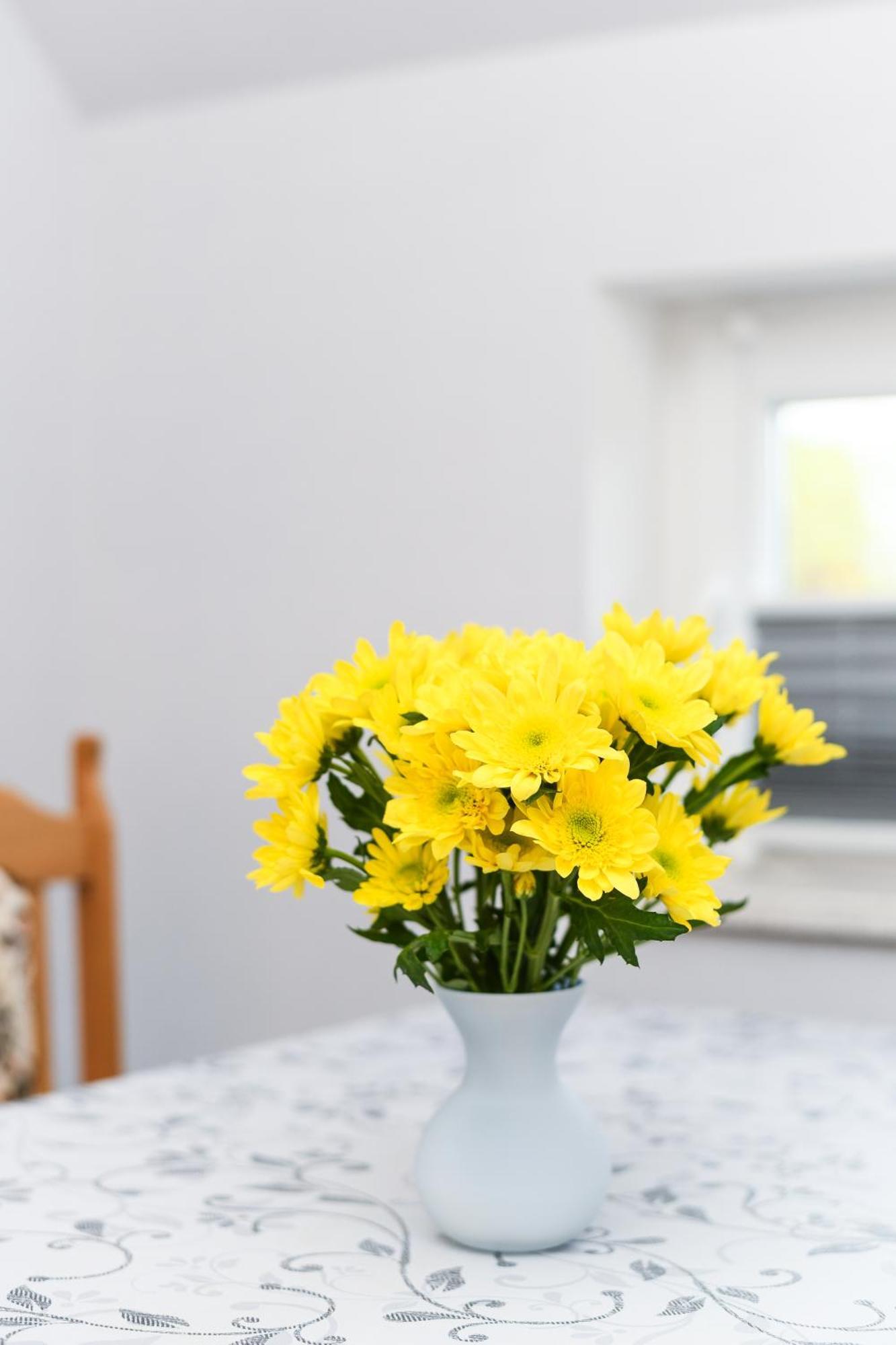 Ferienwohnung Nordmoor Blomberg  Ngoại thất bức ảnh